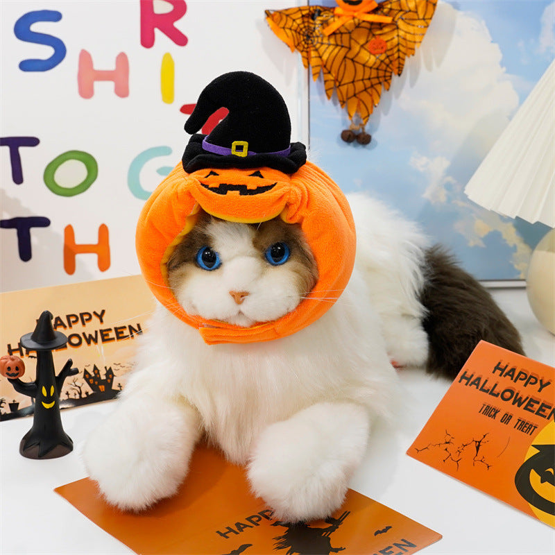 Halloween Pumpkin Cat Hat vest