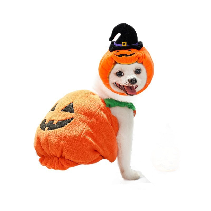 Halloween Pumpkin Cat Hat vest